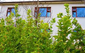 Guesthouse Kalfafellsstadur